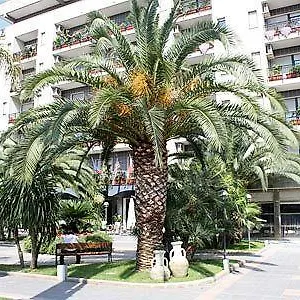 3* Hotel Rondo'